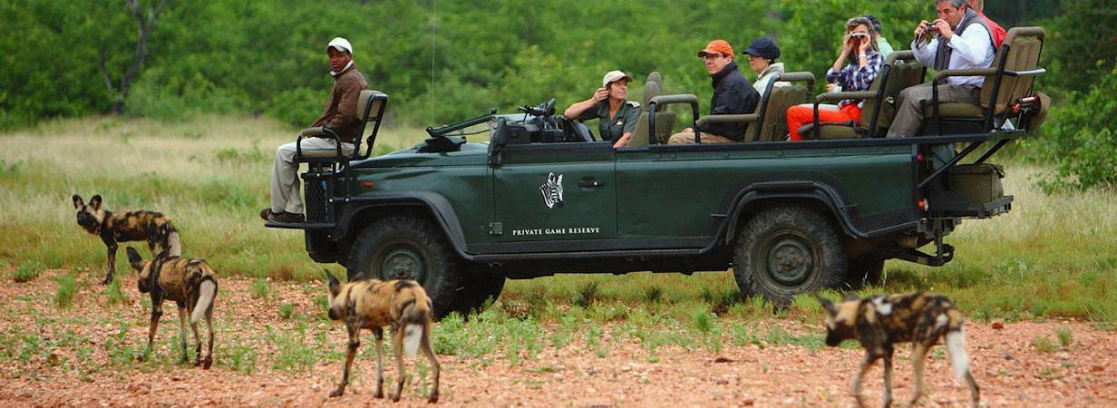 South Africa Safaris