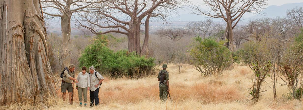 Tanzania Adventure Safaris for those looking for something different
