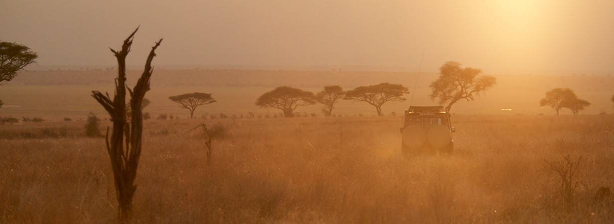 Tanzania Safaris