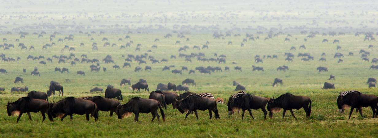 Tanzania Travel
