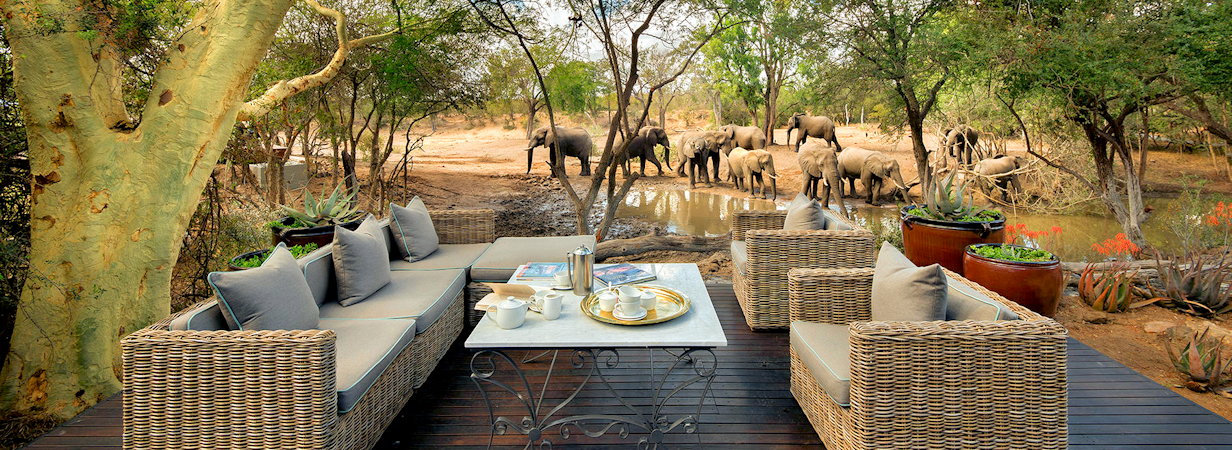 Lodges In Timbavati
