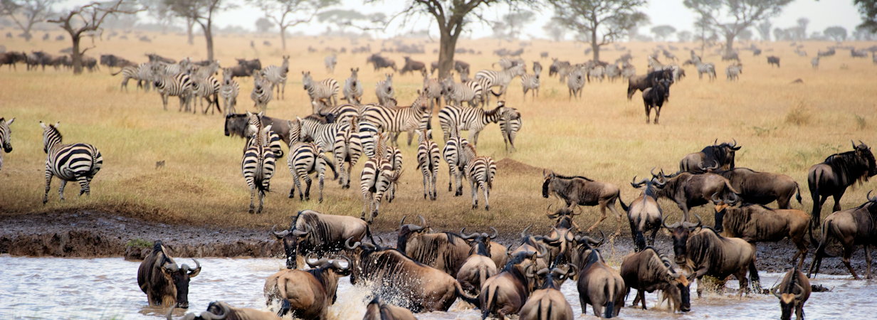 Tanzania Travel