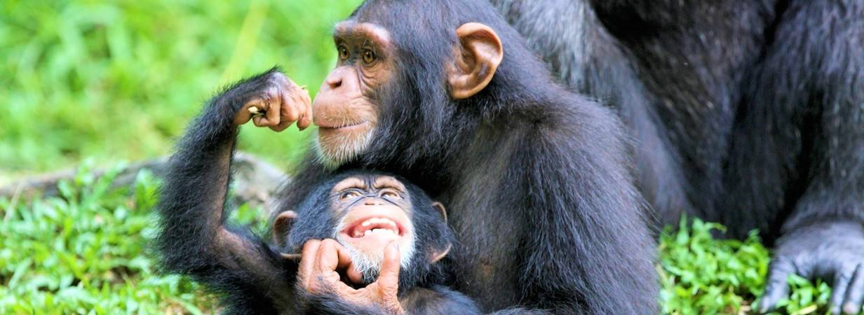 Uganda Travel