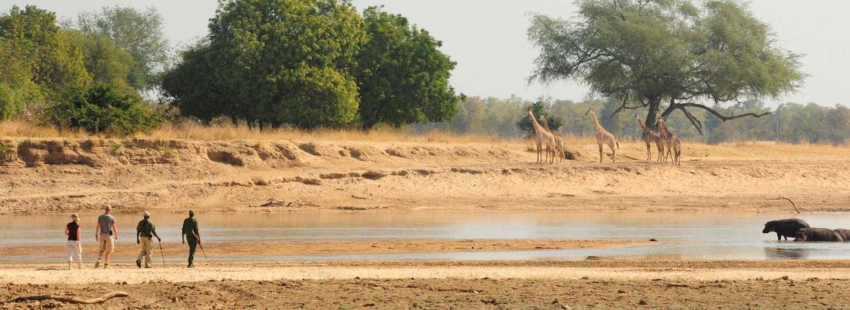 Zambia Travel