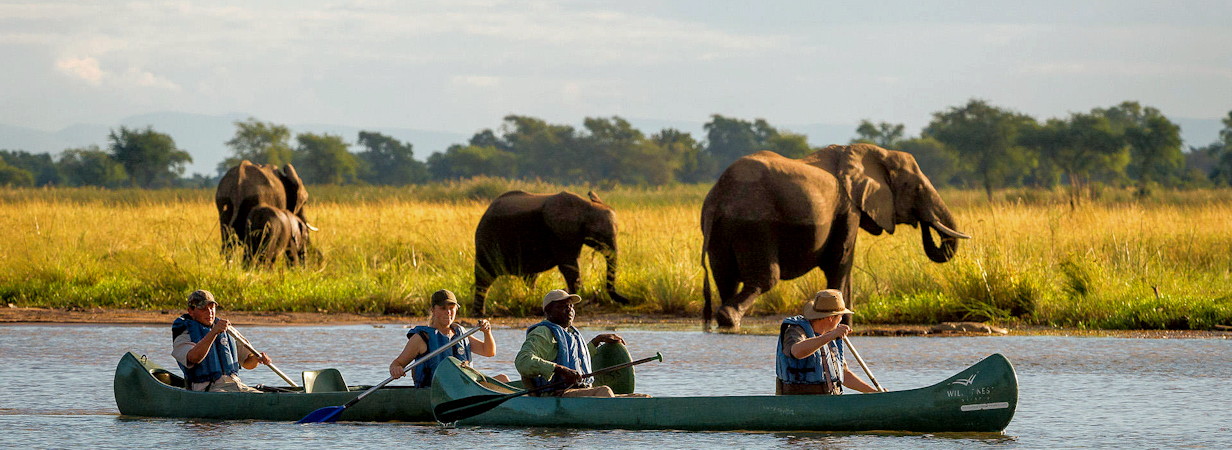 Best Zimbabwe Attractions | Top Travel Attractions In Zimbabwe