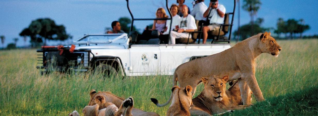 Zimbabwe Safaris