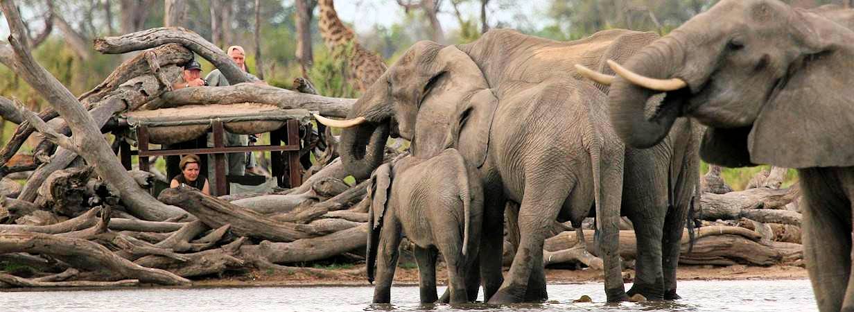 Zimbabwe Travel