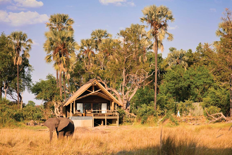 10-best-lodges-in-okavango-delta-1.jpg An aerial view of Belmond Eagle Island Lodge, showcasing its luxurious accommodations amidst the lush greenery of Okavango Delta
