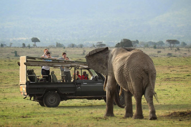 10-must-see-attractions-in-kenya-1.jpg A stunning view of the Masai Mara National Reserve, showcasing incredible wildlife and beautiful scenery.