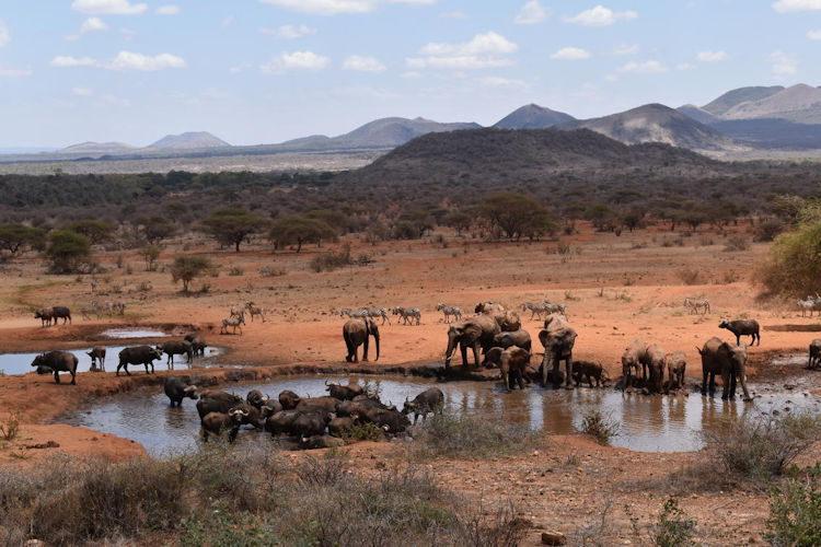 10-must-see-attractions-in-kenya-4.jpg The scenic beauty of Tsavo National Parks, showcasing vast landscapes and diverse wildlife.