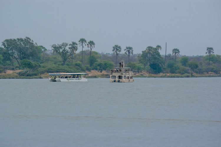 A serene scene unfolds as elephants gather at the edge of the Zambezi River during golden hour, sipping water while tourists observe from a boat. This picturesque moment captures the natural habitat of wildlife, showcasing the beauty of Livingstone, a popular spot for experiencing the magnificent waterfalls and diverse fauna.