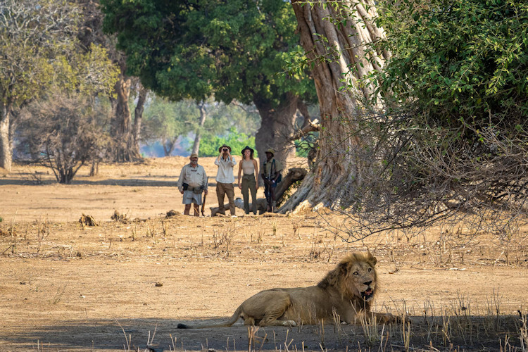 10-reasons-to- visit-mana-pools-national-park-4_0.jpg Wildlife viewing at Chitake Springs.
