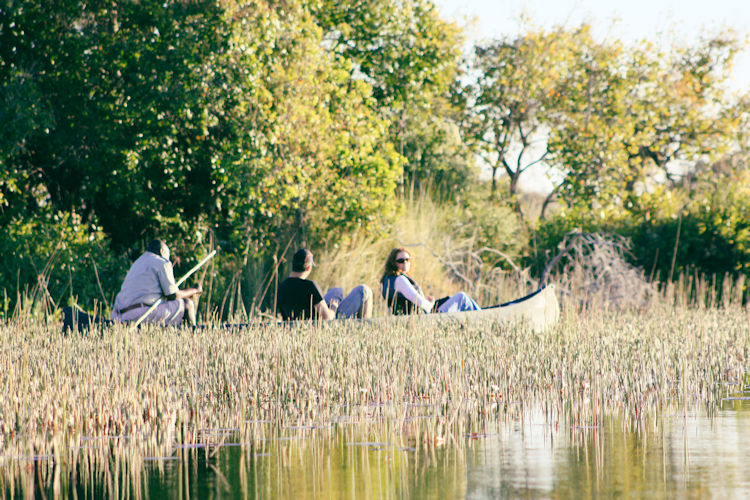 A traditional mokoro canoe glides smoothly through the serene, lily-covered water channels of the Okavango Delta, with a local guide standing at the back, showcasing the stunning natural beauty and incredible wildlife encounters that Botswana offers. This unique mokoro safari experience is a perfect way to explore the diverse ecosystem of one of Southern Africa's premier safari destinations.