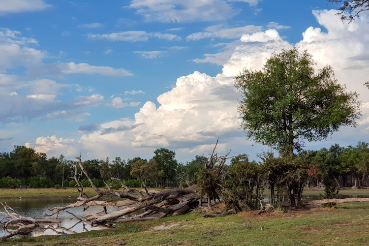 10-reasons-to-visit-moremi-game-reserve-3.jpg Scenic landscapes of Moremi Game Reserve, perfect for visitors looking to explore beautiful scenery.