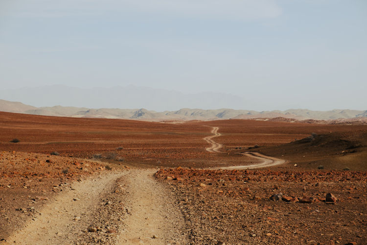 Scenic flights over the Namib Desert, revealing its natural wonders.
