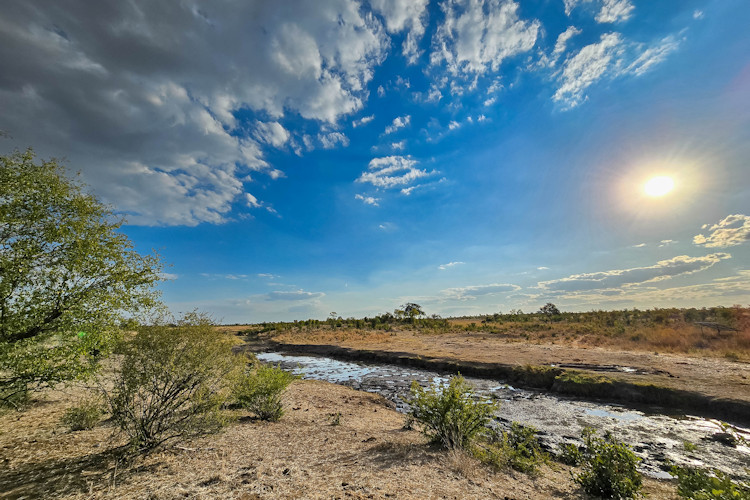 10-reasons-to-visit-the-hwange-national-park-3.jpg Iconic waterholes in Hwange National Park, attracting diverse wildlife.