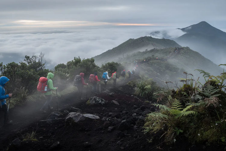 A group of hikers is seen ascending a misty volcanic slope, surrounded by lush green vegetation and a blanket of clouds below, showcasing the breathtaking landscape of Hawai'i Volcanoes National Park. The scene captures the essence of adventure and the rich cultural heritage of the area, inviting exploration of its hiking trails and volcanic craters.