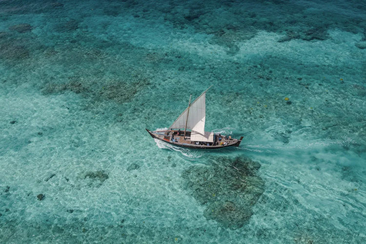 An aerial view showcases a traditional wooden dhow sailing through the turquoise waters surrounding Zanzibar Island, with vibrant marine life beneath the surface. This scene highlights the island's natural beauty and invites travelers to explore its rich culture and attractions, including its UNESCO World Heritage Site, Stone Town.