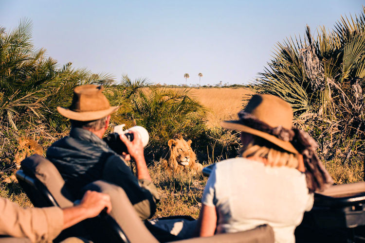 Botswana exclusive honeymoon safari Okavango Delta private game drive sky bed plunge pool romance