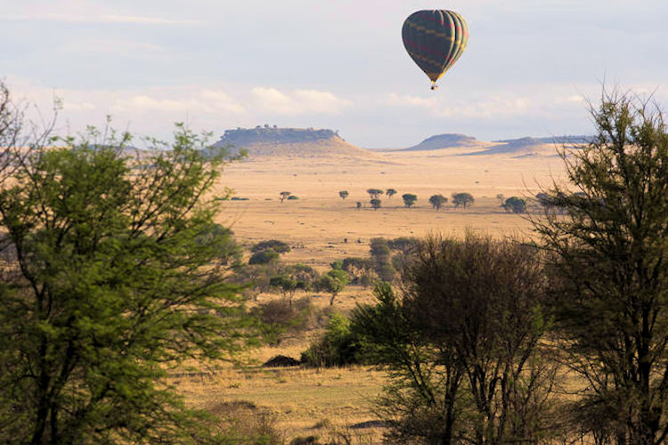 Hot air balloon safari Africa aerial view wildlife landscape serenity unique perspective