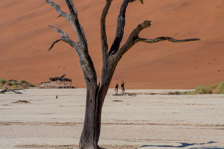 Deadvlei Namibia photography ancient blackened camelthorn trees white clay pan red dunes sunset golden