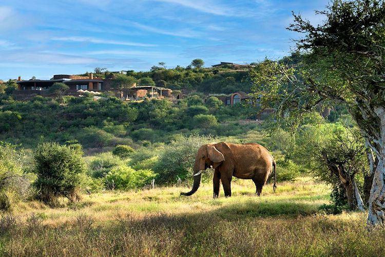 andBeyond Suyian Laikipia Kenya 14 suites eco-friendly solar Grevy's zebra elephants lions 2025