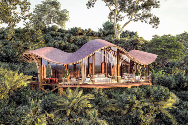 Erebero Hills Bwindi Impenetrable Forest Uganda gorilla trekking 25000 trees reforestation 2026