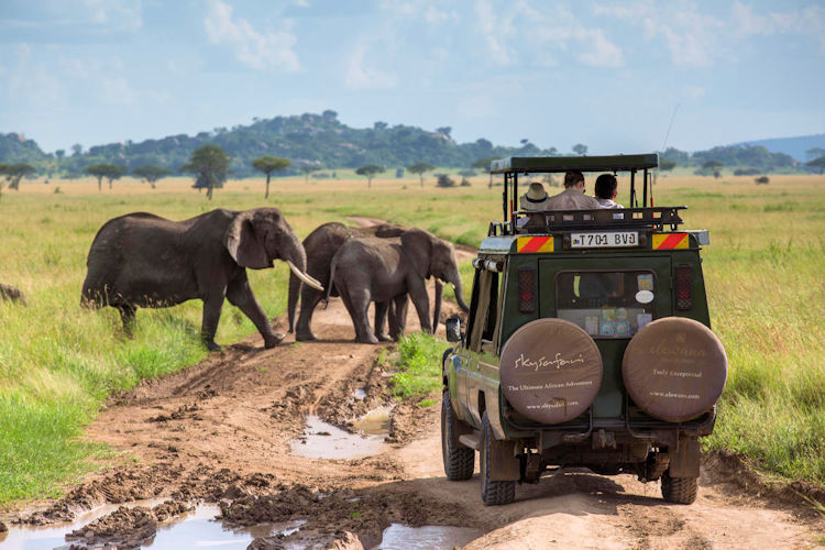 Safari vehicles open Botswana closed Tanzania tiered seating pop-up roof wildlife photography comparison