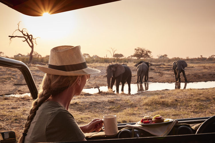 The image depicts a luxurious safari tent interior featuring elegant furnishings and mosquito netting, with a private deck that offers breathtaking views of the African wilderness. This serene space embodies the essence of Botswana's luxury safari lodges, providing an intimate escape into nature.