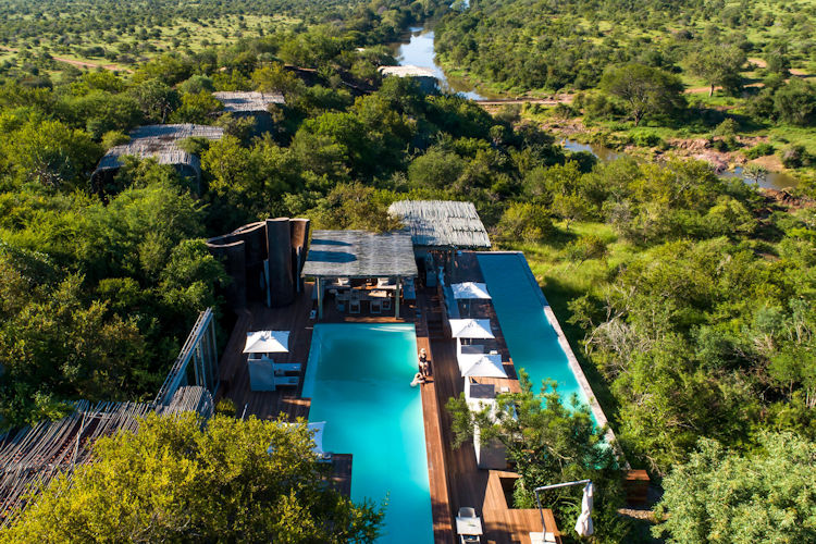 A luxurious safari suite features floor-to-ceiling glass windows that provide stunning views of the N'wanetsi River, where hippos and various water birds can be seen. This eco-friendly lodge in Kruger National Park offers a modern design and exceptional wildlife encounters, making it an ideal choice for wildlife enthusiasts seeking a unique blend of comfort and nature.