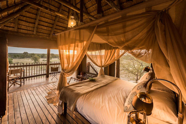 An elevated wooden treehouse accommodation offers a luxurious safari experience surrounded by the African bush, with wildlife such as elephants and antelopes walking beneath. This eco-friendly lodge, located in Kruger National Park, provides exceptional wildlife encounters and stunning views of the pristine wilderness.