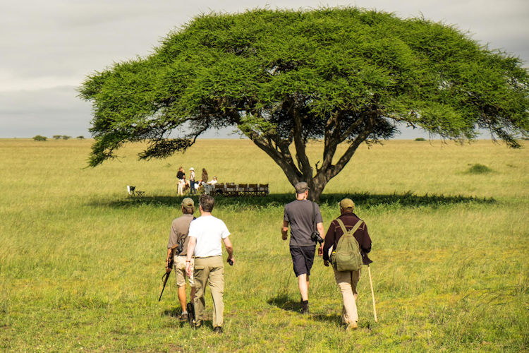 best-kenya-safari-intinery-1.jpg A stunning view of a safari landscape in Kenya showcasing its wildlife, perfect for planning your best Kenya safari itinerary.
