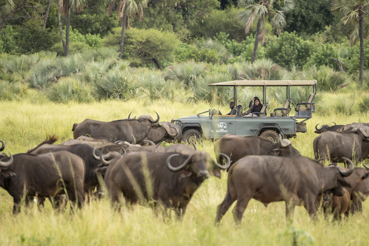 A safari vehicle navigates the vast African savanna during golden hour, with acacia trees casting dark silhouettes against a vibrant orange sky. This picturesque scene captures the essence of a self-drive safari experience in Kruger National Park, where visitors can spot wild animals amidst the stunning landscape.