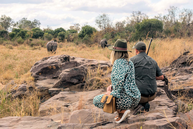 A group of majestic African elephants strolls along a dusty savanna road, with a safari vehicle parked in the distance, creating a picturesque scene typical of a visit to Kruger National Park. This image captures the essence of a self-drive safari experience in South Africa, showcasing the wild animals that roam freely in their natural habitat.