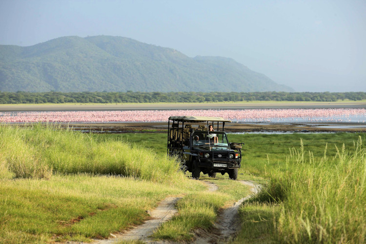 best-tanzania-safari-intinery-3.jpg A collage of popular attractions in Tanzania, representing a classic safari itinerary for a 7-day adventure.
