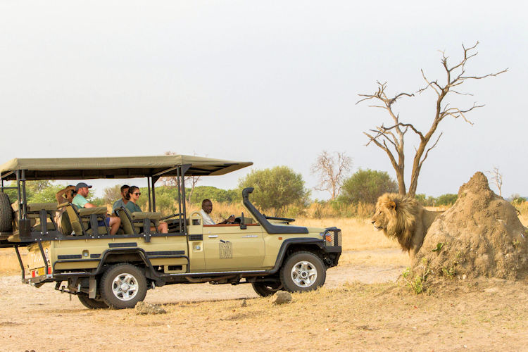 A thrilling game drive in Chobe National Park with wildlife sightings.