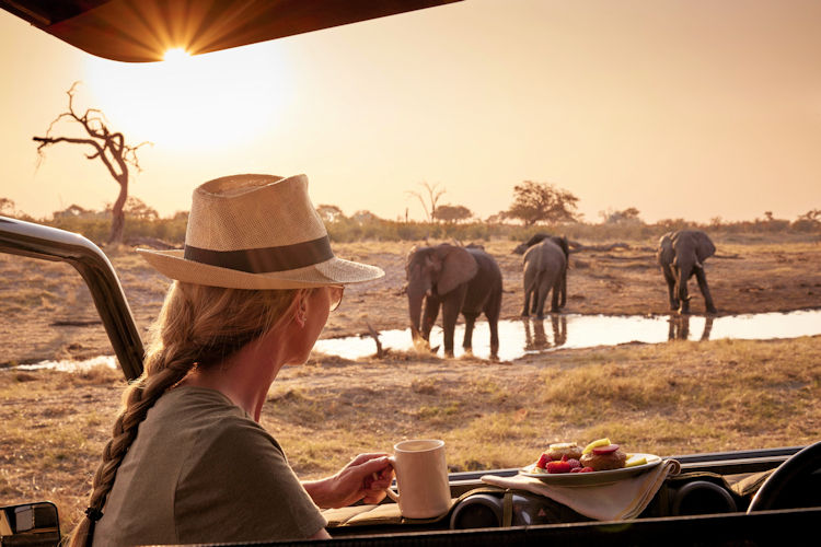 Planning a safari adventure in Chobe National Park with essential gear.