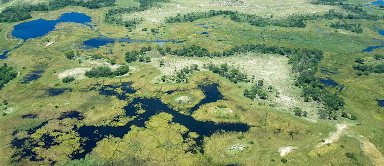 botswana-safari-by-air-craft-1.jpg Botswana Safari By Aircraft