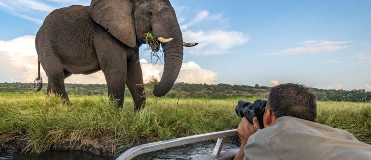 Sunset cruise Chobe River Kasane elephants hippos birdlife dinner drinks photography Botswana
