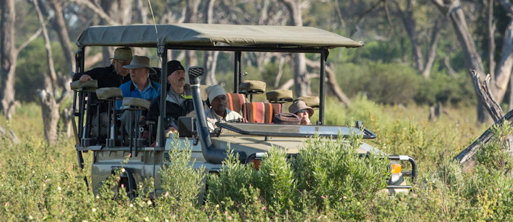 Full day Moremi Game Reserve tour Maun Botswana wildlife Big Five picnic bush lunch photography