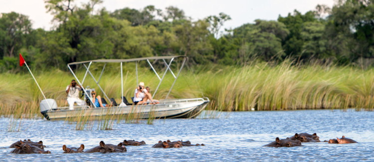 Okavango Delta boat tour Maun motor boat lagoons islands wildlife photography Botswana half day