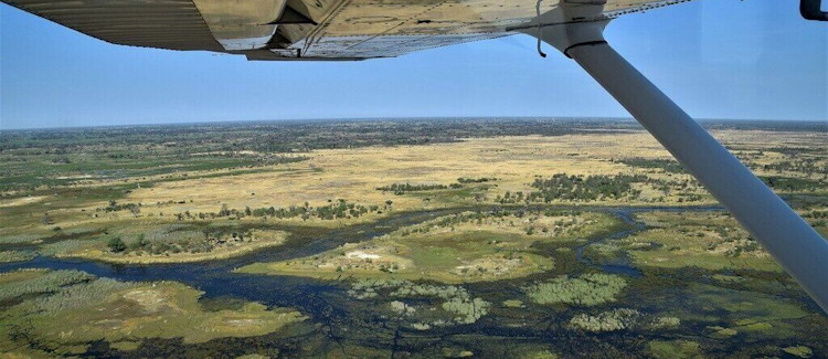 Scenic flight over Okavango Delta Maun 500 feet aerial waterways channels islands Botswana