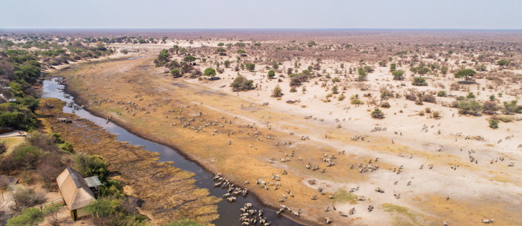Makgadikgadi Pans National Park Botswana largest salt pan zebra migration meerkats sleepouts