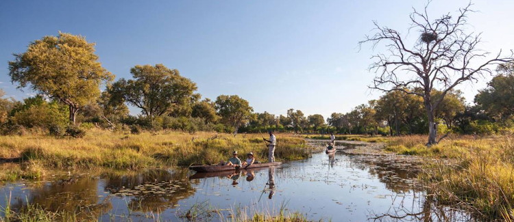 Okavango Delta Botswana UNESCO inland delta mokoro game drives wildlife birdlife crystal waters