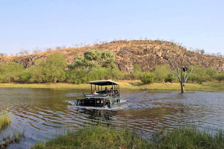 Savuti unique landscapes sandveld mopane veld marsh camelthorn trees rock art kopjes Botswana safari