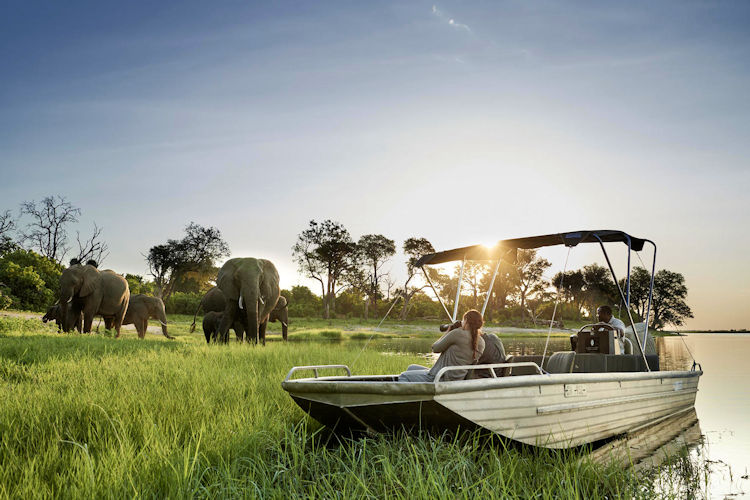 Excursions activities Chobe National Park game drives boat trips helicopter rides fishing birding Botswana