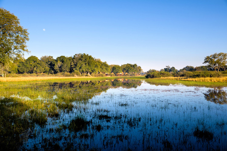 Sanctuary Chief's Camp Chief's Island luxury tents pizza deck library wild dogs elephants Botswana