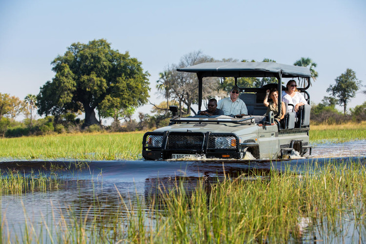Activities Okavango Delta mokoro safari helicopter flight night game drive wildlife Botswana