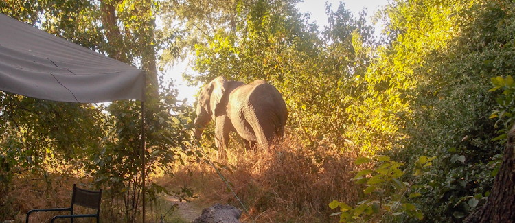 Best Botswana Safari Ever Maun airport Air Botswana Karibu lunch guide welcome Botswana camping safari