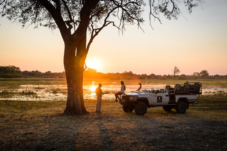 Aerial view Chobe National Park Botswana elephant population riverfront game drive safari itinerary